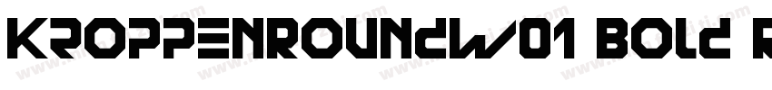 KroppenRoundW01 Bold Regular字体转换